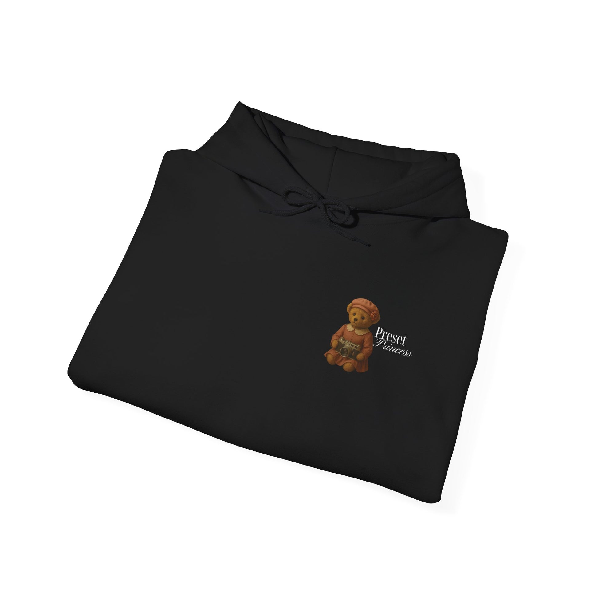 Preset Princess – Vintage Photographer Teddy Bear Hoodie