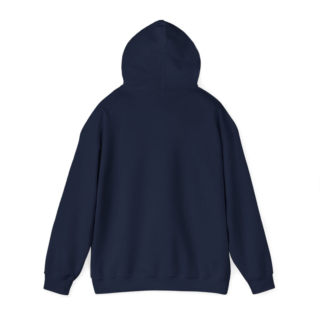 Preset Princess – Vintage Photographer Teddy Bear Hoodie