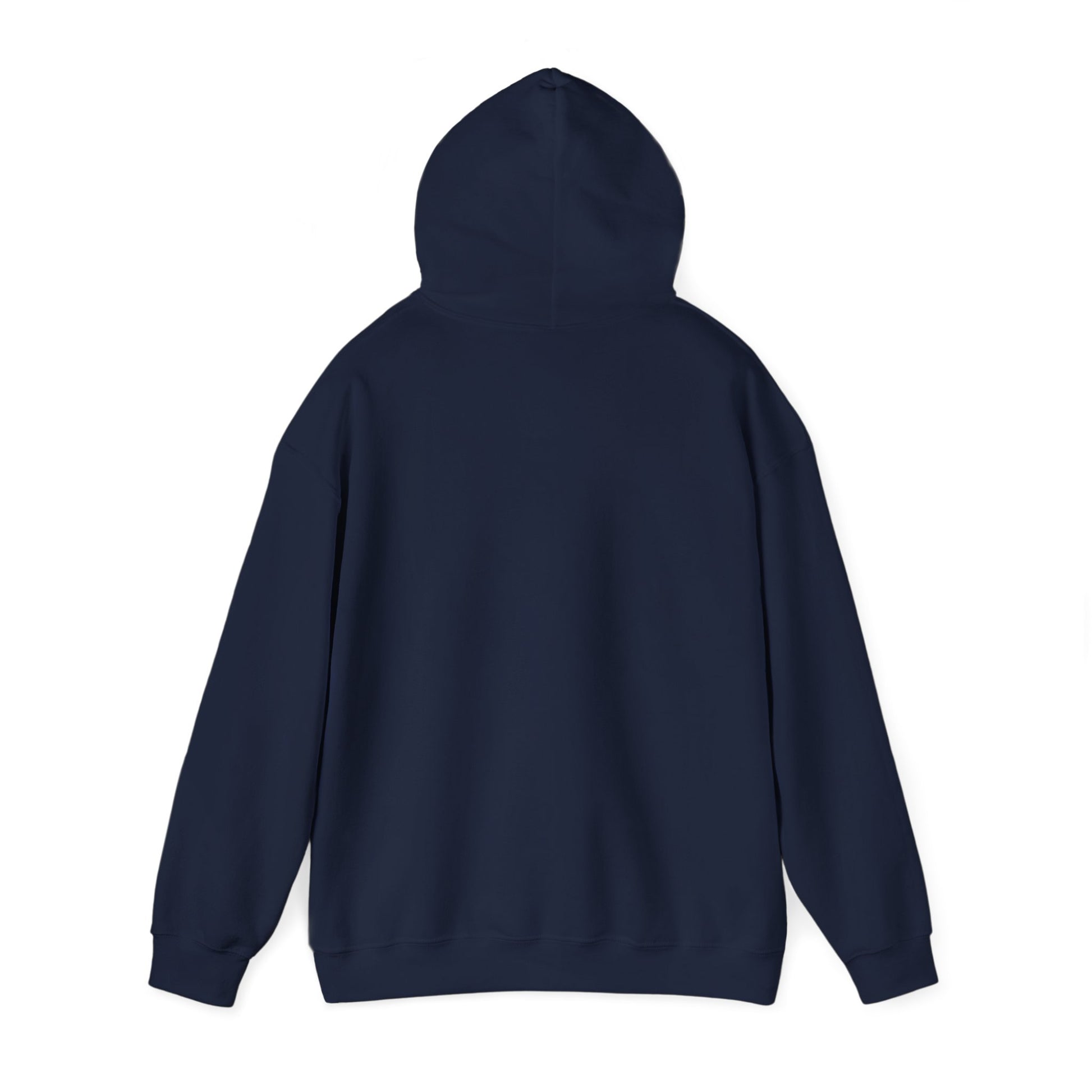 Preset Princess – Vintage Photographer Teddy Bear Hoodie