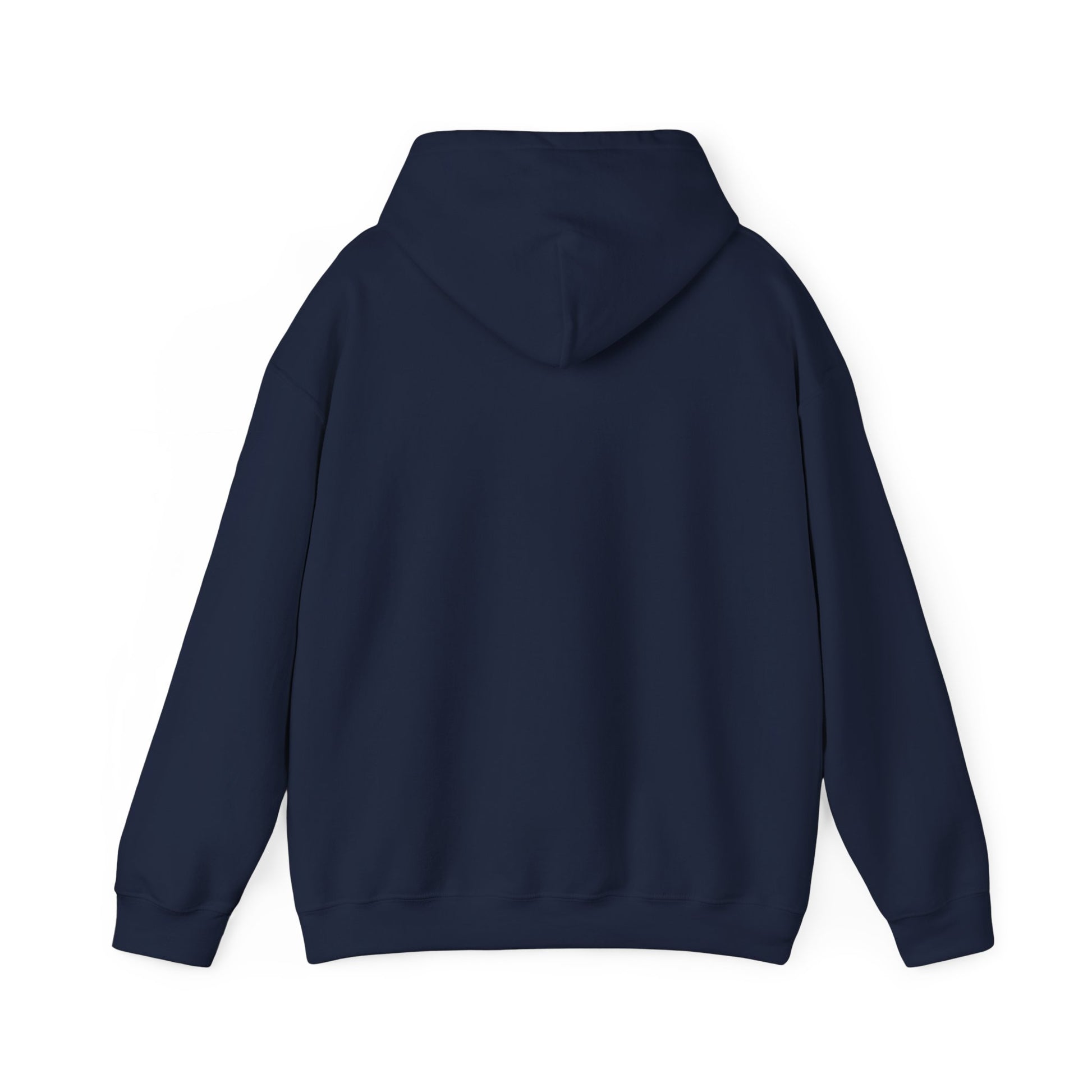 Preset Princess – Vintage Photographer Teddy Bear Hoodie