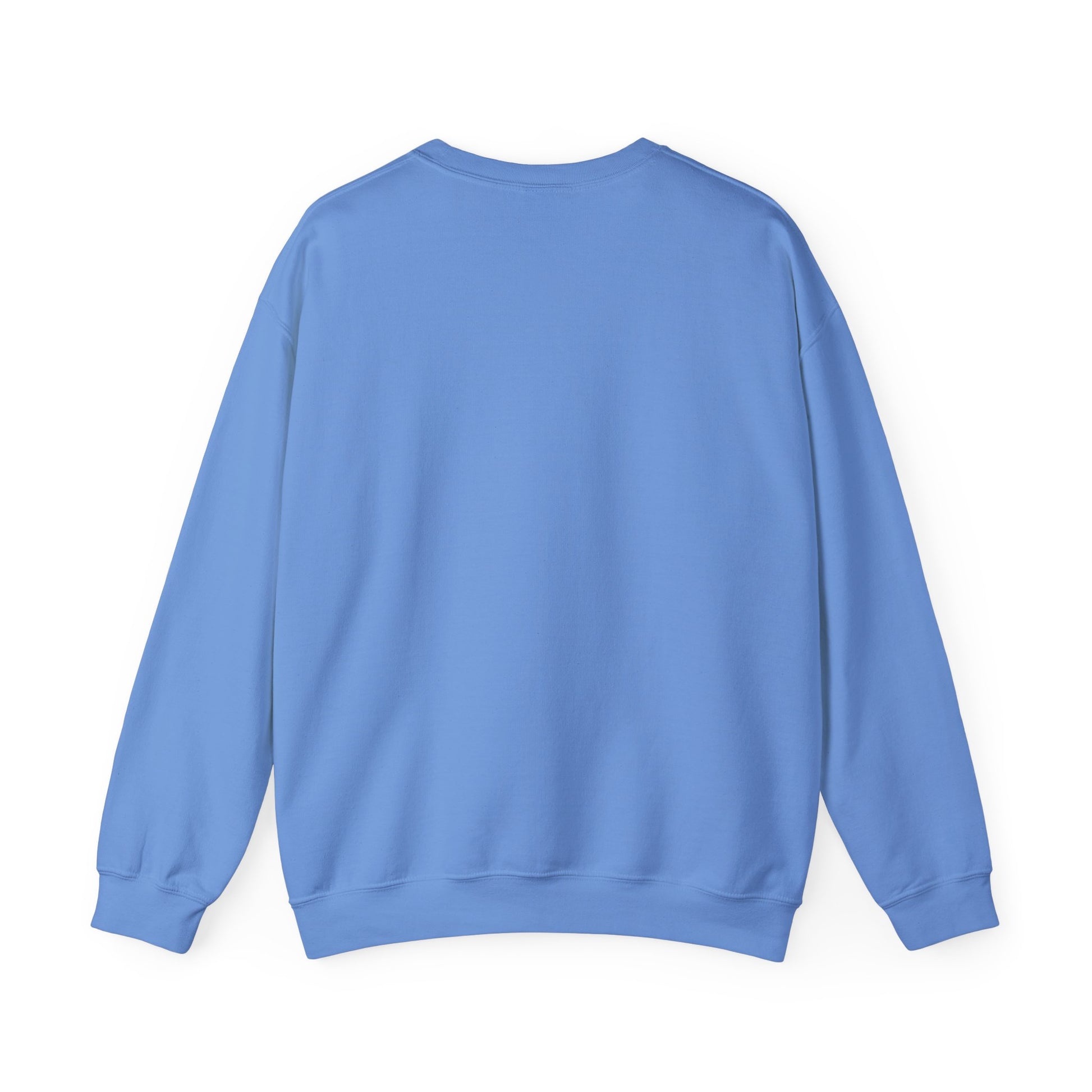 Preset Papi – Vintage Photographer Teddy Sweatshirt