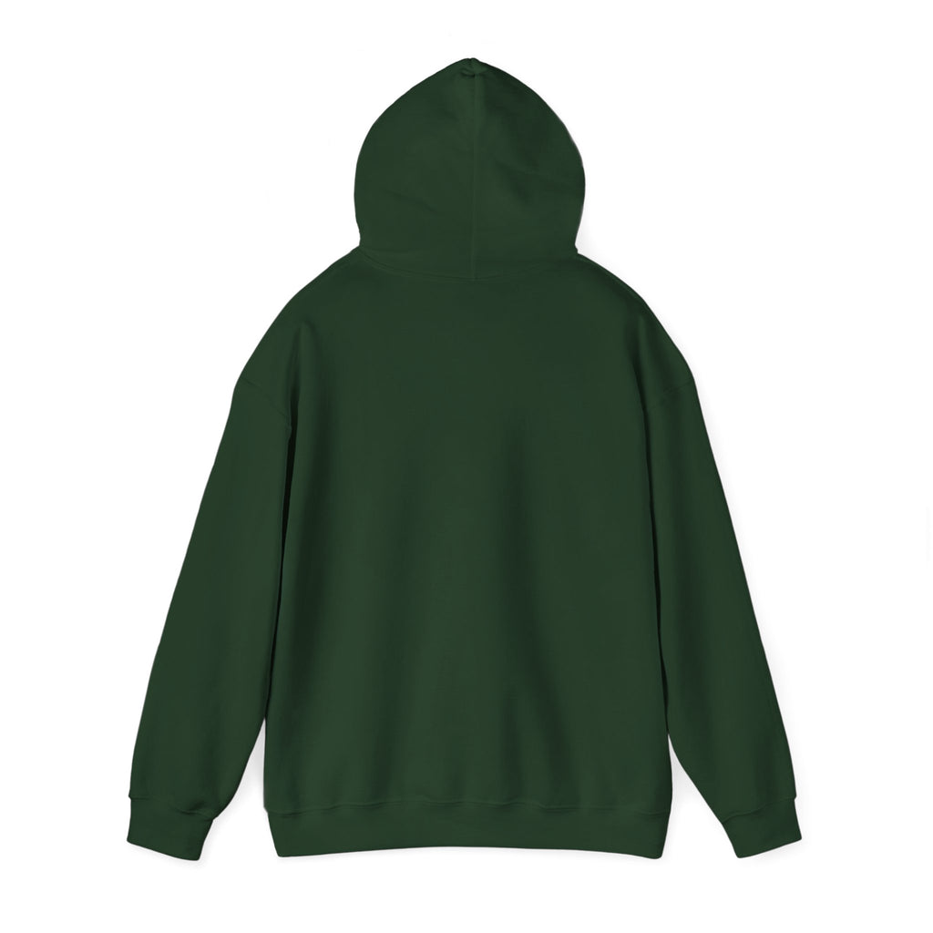 Preset Princess – Vintage Photographer Teddy Bear Hoodie
